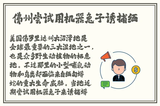 成品抖音短视频app